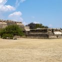 MEX OAX MonteAlban 2019APR04 043 : - DATE, - PLACES, - TRIPS, 10's, 2019, 2019 - Taco's & Toucan's, Americas, April, Day, Mexico, Monte Albán, Month, North America, Oaxaca, South Pacific Coast, Thursday, Year, Zona Arqueológica